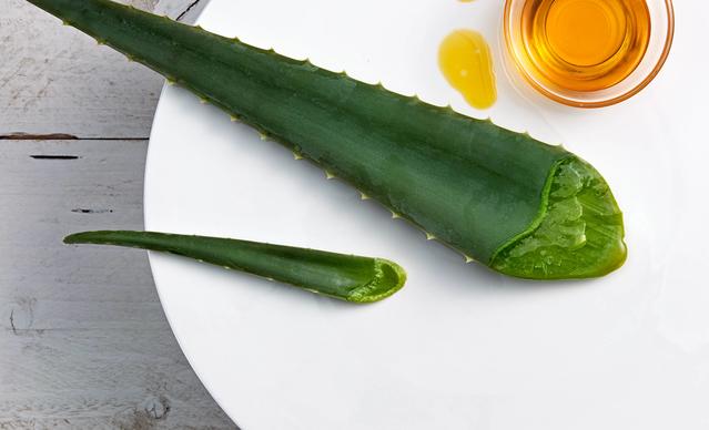Aloe Vera and Honey on a white plate